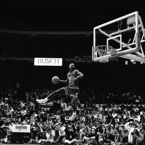 Meet your Posher, Brady